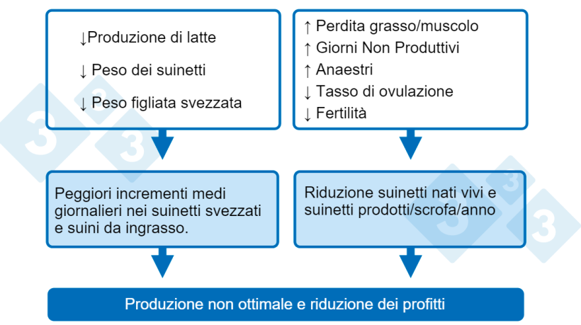 Grafico 1. Conseguenze di un basso apporto di nutrienti durante l'allattamento.